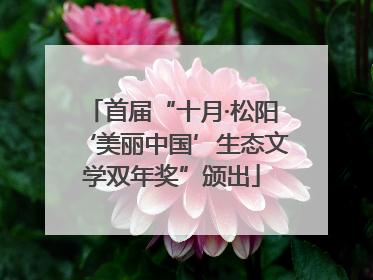 首届“十月·松阳‘美丽中国’生态文学双年奖”颁出