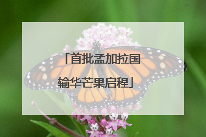 首批孟加拉国输华芒果启程