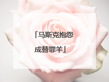 马斯克抱怨成替罪羊