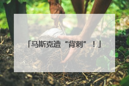 马斯克遭“背刺”！