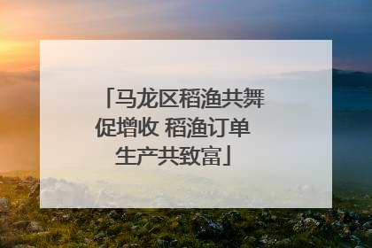 马龙区稻渔共舞促增收 稻渔订单生产共致富