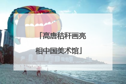 高唐秸秆画亮相中国美术馆