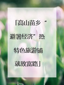 高山苗乡“避暑经济”热 特色旅游铺就致富路