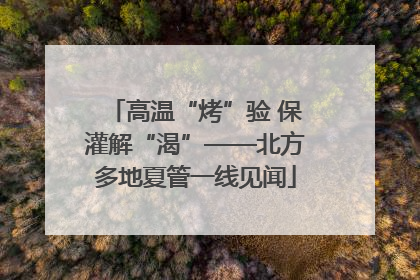 高温“烤”验 保灌解“渴”——北方多地夏管一线见闻
