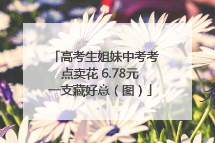 高考生姐妹中考考点卖花 6.78元一支藏好意（图）