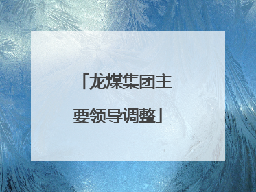 龙煤集团主要领导调整