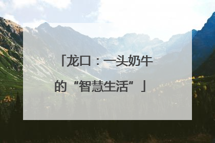 龙口：一头奶牛的“智慧生活”
