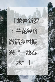 龙岩新罗：兰花经济激活乡村振兴“一池春水”