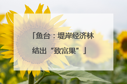 鱼台：堤岸经济林结出“致富果”