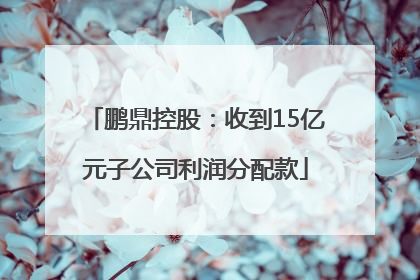 鹏鼎控股：收到15亿元子公司利润分配款