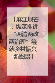 麻江坝芒：纵深推进“两清两改两治理”绘就乡村振兴新图景