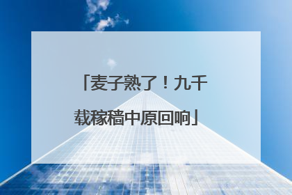 麦子熟了！九千载稼穑中原回响