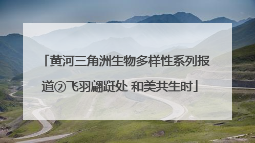 黄河三角洲生物多样性系列报道②飞羽翩跹处 和美共生时