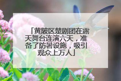 黄陂区楚剧团在露天舞台连演六天，准备了防暑设施，吸引观众上万人