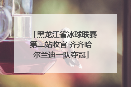 黑龙江省冰球联赛第二站收官 齐齐哈尔兰迪一队夺冠