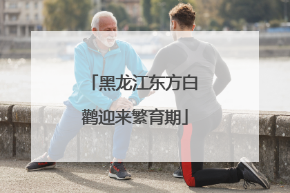 黑龙江东方白鹳迎来繁育期