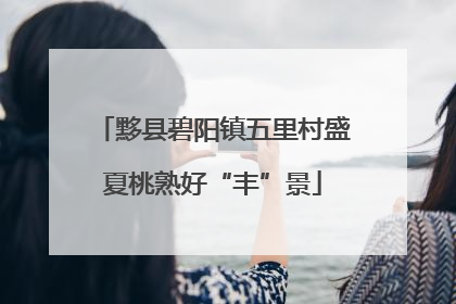 黟县碧阳镇五里村盛夏桃熟好“丰”景