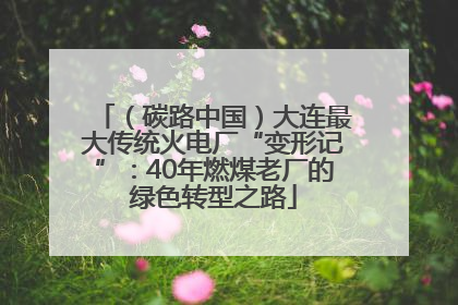 （碳路中国）大连最大传统火电厂“变形记”：40年燃煤老厂的绿色转型之路