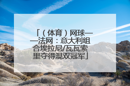 （体育）网球——法网：意大利组合埃拉尼/瓦瓦索里夺得混双冠军