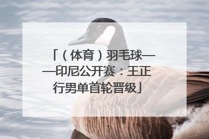 （体育）羽毛球——印尼公开赛：王正行男单首轮晋级
