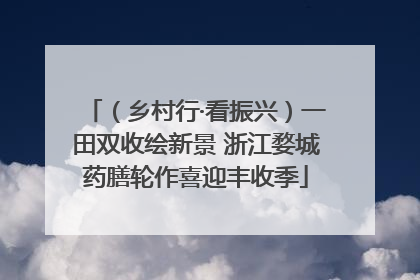 （乡村行·看振兴）一田双收绘新景 浙江婺城药膳轮作喜迎丰收季