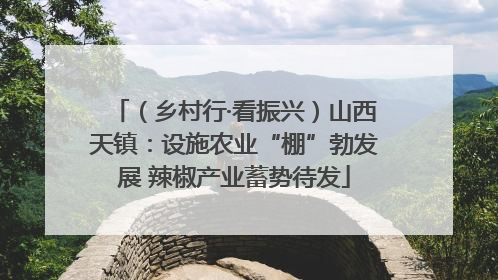 （乡村行·看振兴）山西天镇：设施农业“棚”勃发展 辣椒产业蓄势待发