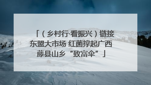 （乡村行·看振兴）链接东盟大市场 红菌撑起广西藤县山乡“致富伞”