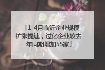 1-4月临沂企业规模扩张提速，过亿企业较去年同期增加55家