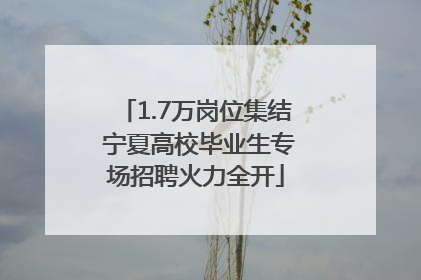 1.7万岗位集结 宁夏高校毕业生专场招聘火力全开