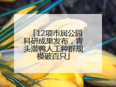 12项市属公园科研成果发布，青头潜鸭人工种群规模破百只