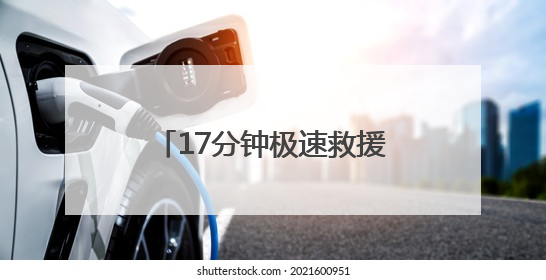 17分钟极速救援！国网石首供电守护江豚不断“电”