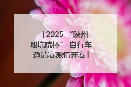 2025 “陕州地坑院杯” 自行车邀请赛激情开赛