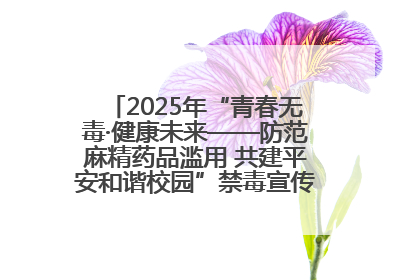 2025年“青春无毒·健康未来——防范麻精药品滥用 共建平安和谐校园”禁毒宣传专题活动在咸宁举行