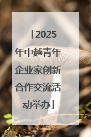 2025年中越青年企业家创新合作交流活动举办