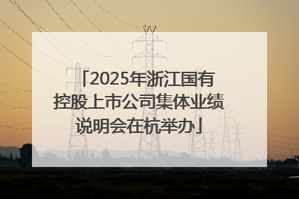 2025年浙江国有控股上市公司集体业绩说明会在杭举办