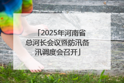 2025年河南省总河长会议暨防汛备汛调度会召开