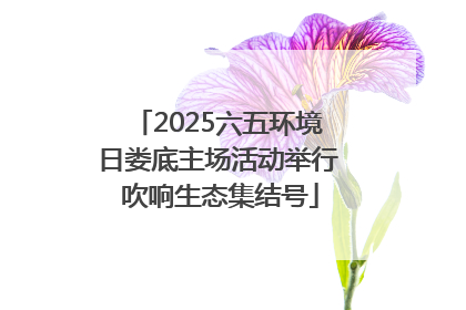 2025六五环境日娄底主场活动举行 吹响生态集结号