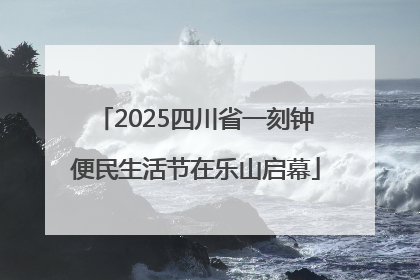 2025四川省一刻钟便民生活节在乐山启幕