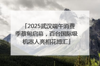 2025武汉端午消费季蔡甸启幕，百台国际级机器人亮相花博汇