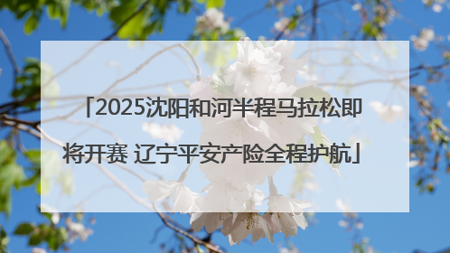 2025沈阳和河半程马拉松即将开赛 辽宁平安产险全程护航