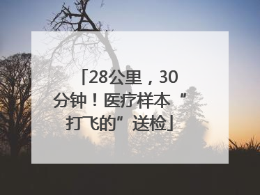 28公里，30分钟！医疗样本“打飞的”送检
