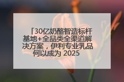 30亿奶酪智造标杆基地+全品类全渠道解决方案，伊利专业乳品何以成为 2025 焙烤展 MV