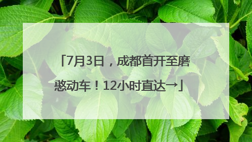 7月3日，成都首开至磨憨动车！12小时直达→