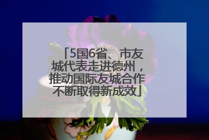 5国6省、市友城代表走进德州，推动国际友城合作不断取得新成效