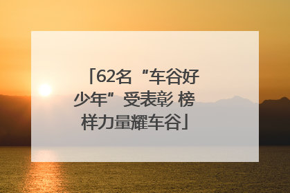 62名“车谷好少年”受表彰 榜样力量耀车谷