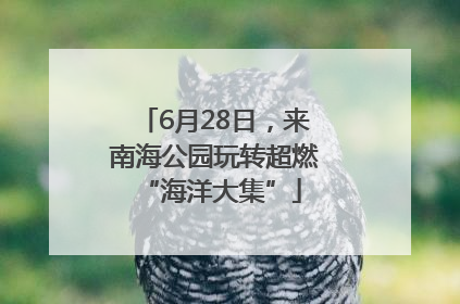 6月28日，来南海公园玩转超燃 “海洋大集”