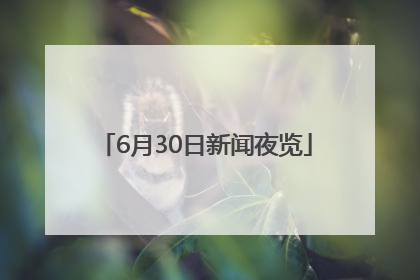 6月30日新闻夜览