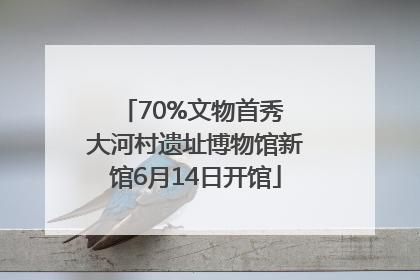 70%文物首秀 大河村遗址博物馆新馆6月14日开馆
