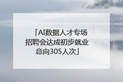 AI数据人才专场招聘会达成初步就业意向305人次