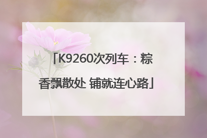 K9260次列车：粽香飘散处 铺就连心路